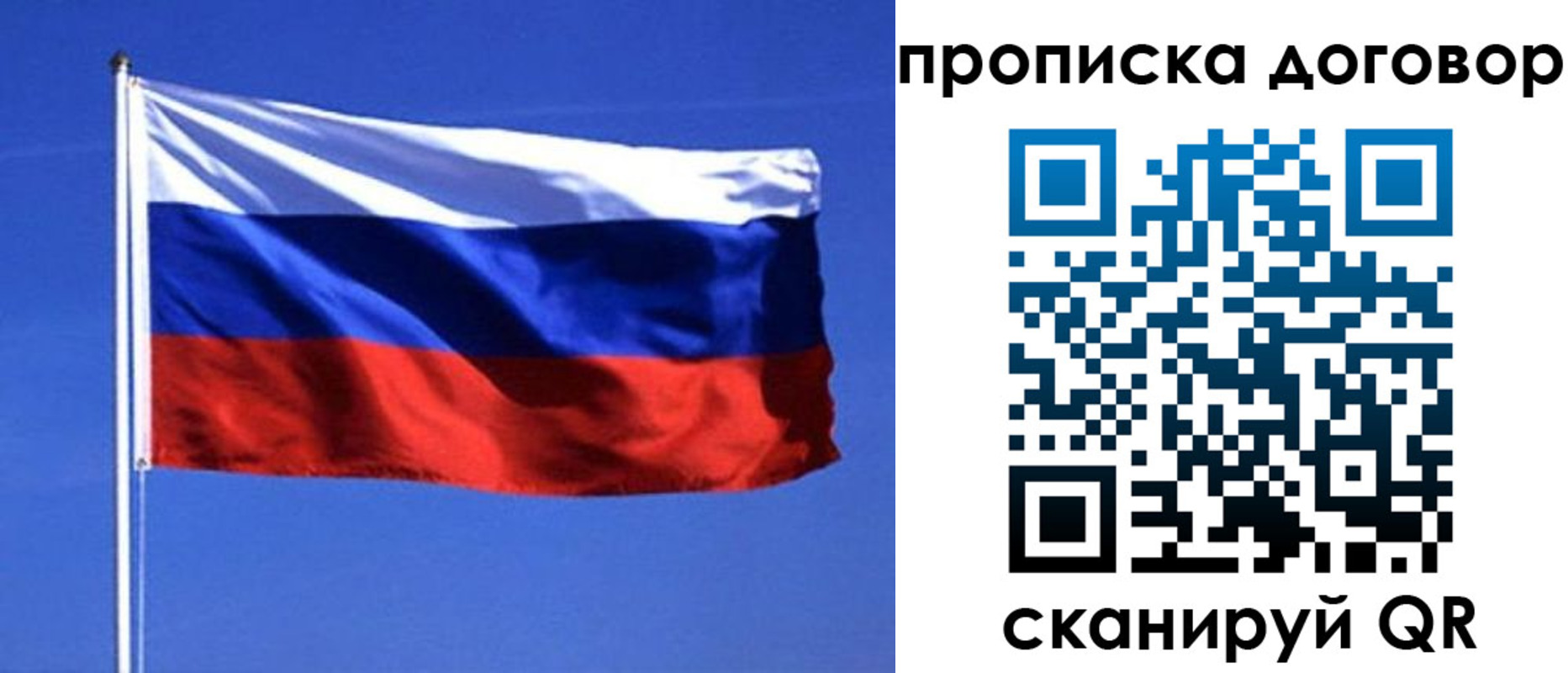 прописка поиск в Кондрово